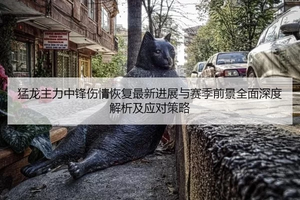 猛龙主力中锋伤情恢复最新进展与赛季前景全面深度解析及应对策略