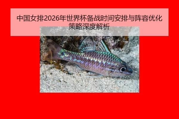 zhong-guo-nv-pai-nian-shi-jie-bei-bei-zhan-shi-jian-an-pai-yu-zhen-rong-you-hua-ce-lve-shen-du-jie-xi-2-258.jpg