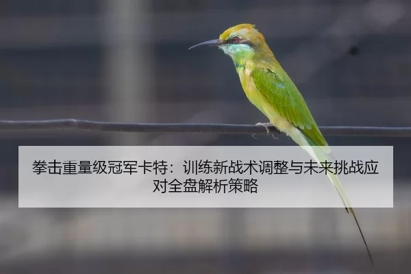 拳击重量级冠军卡特：训练新战术调整与未来挑战应对全盘解析策略
