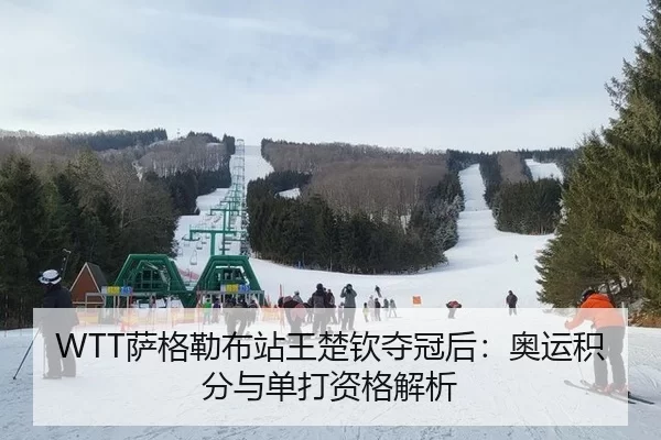 WTT萨格勒布站王楚钦夺冠后：奥运积分与单打资格解析