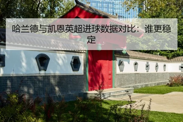 哈兰德与凯恩英超进球数据对比：谁更稳定